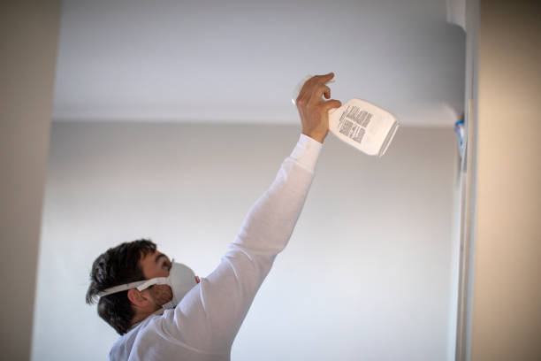 Best Office Mold Removal Services  in Moa, UT