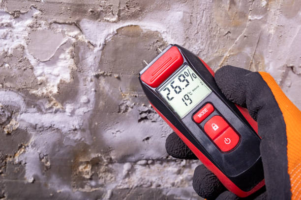 Water Damage Restoration in Moa, UT