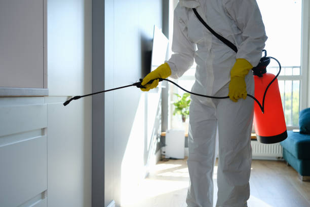 Professional Mold Removal in Moa, UT
