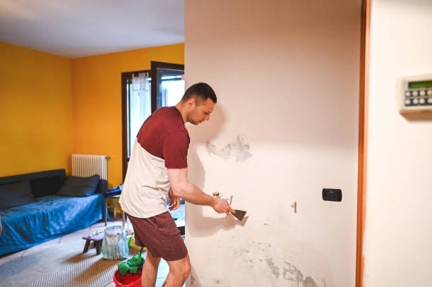 Trusted Moa, UT Mold Removal Experts